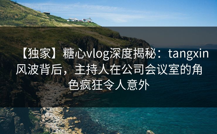 【独家】糖心vlog深度揭秘：tangxin风波背后，主持人在公司会议室的角色疯狂令人意外