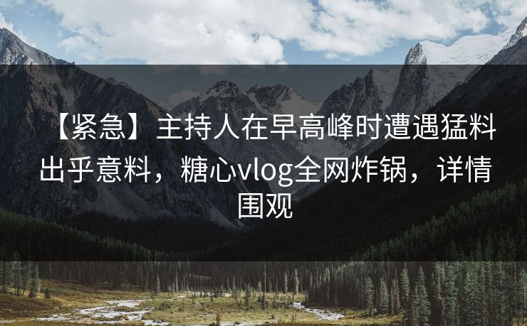【紧急】主持人在早高峰时遭遇猛料 出乎意料，糖心vlog全网炸锅，详情围观